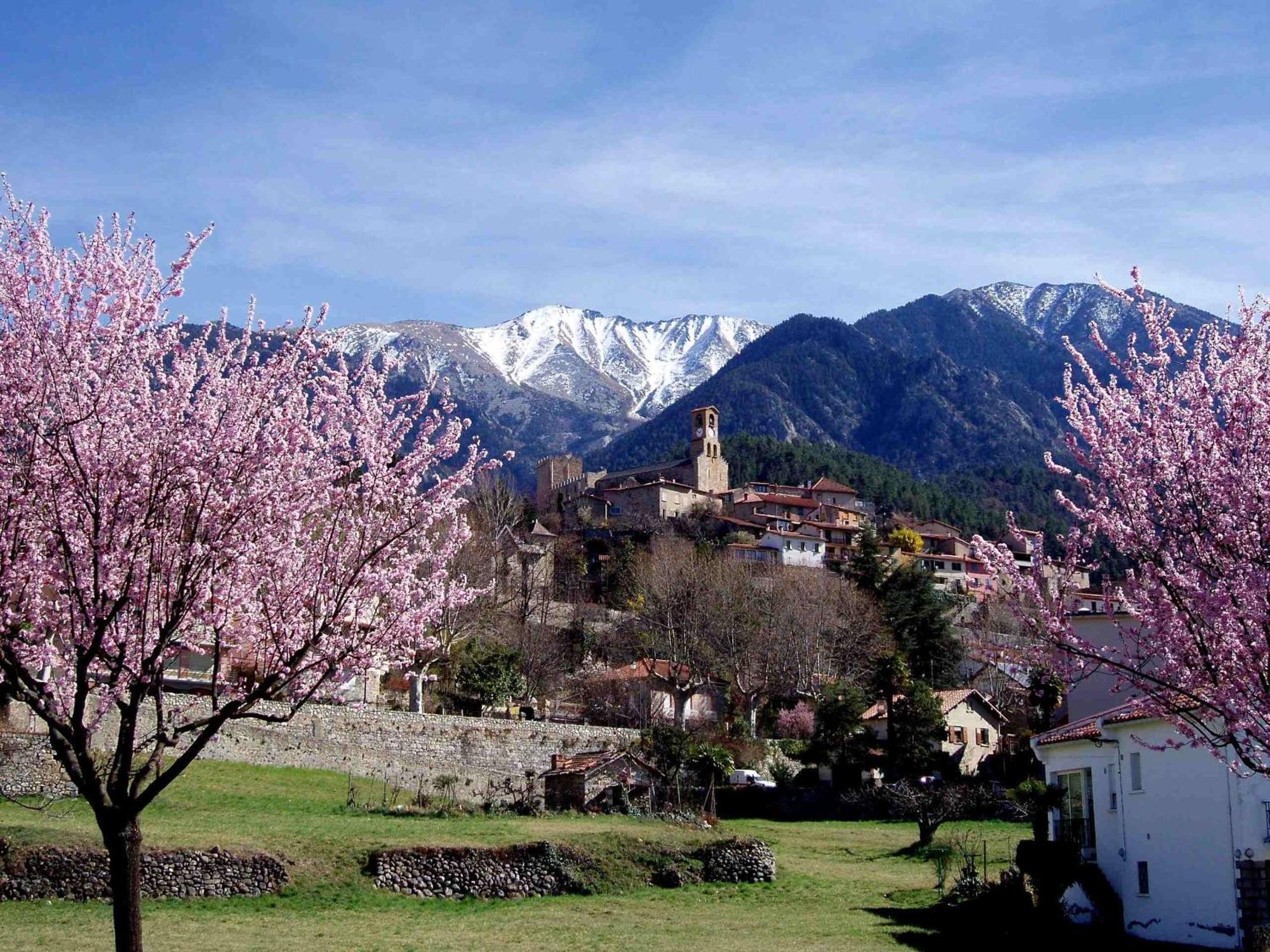 Hotel Les Sources Vernet-les-Bains Kültér fotó